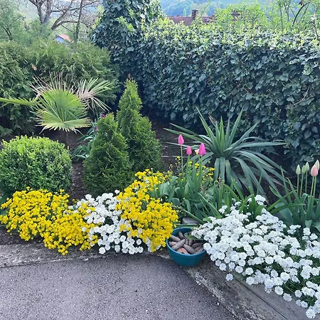 Swiss Apartment Pokoj